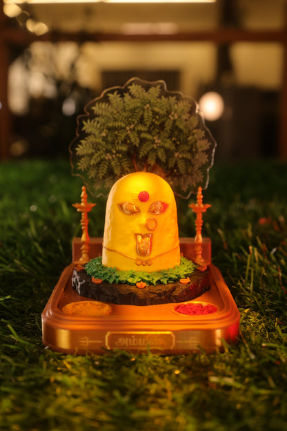AMMAN - Sacred Manjal Kumkum Holder